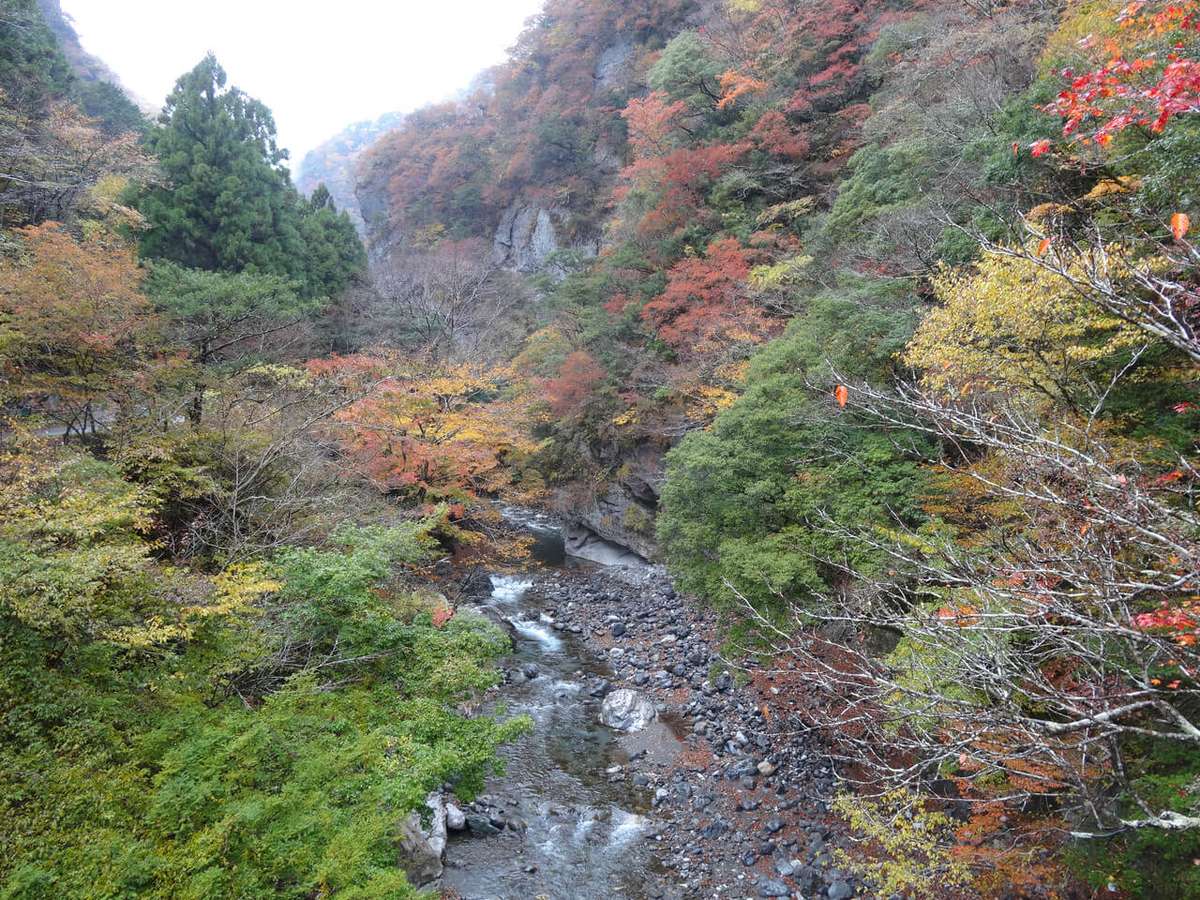 剣山周辺は川の両岸も急斜面の崖が多い