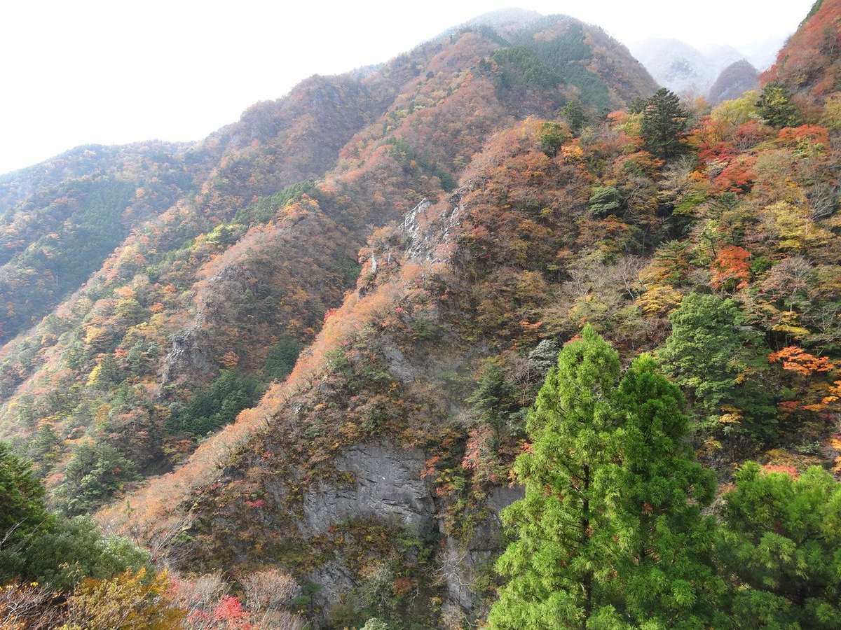 剣山周辺は崖に囲まれた急斜面