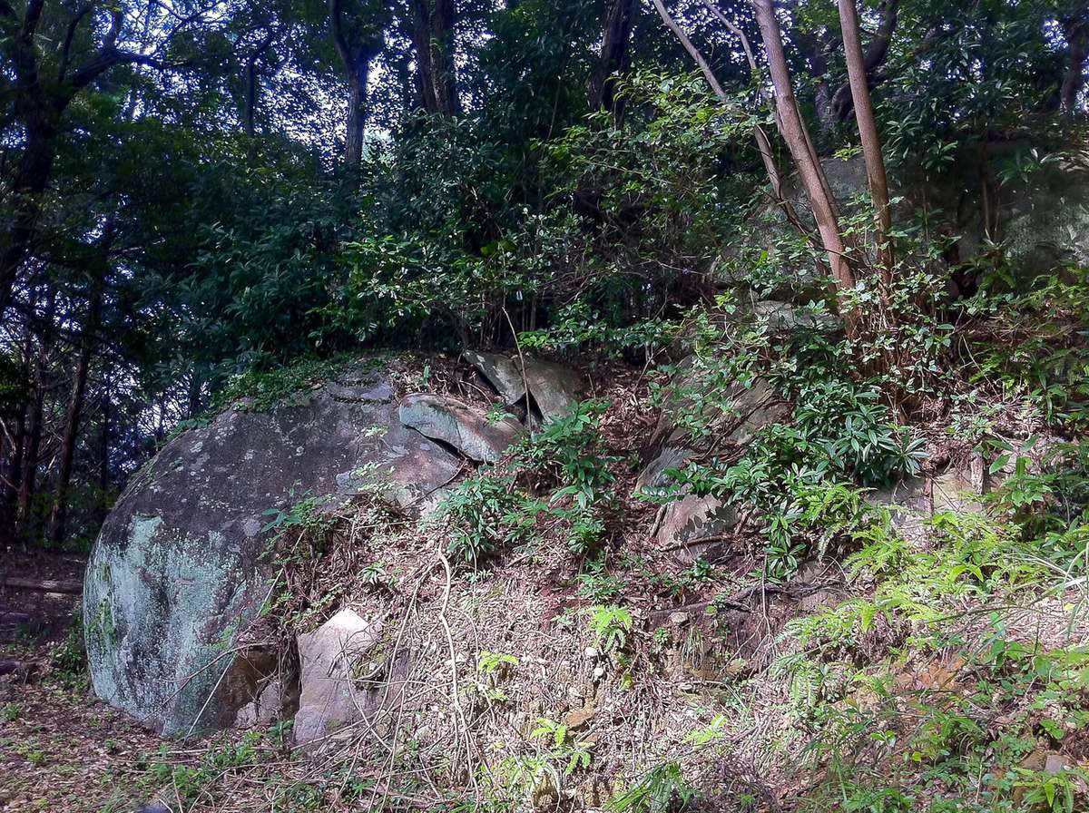 竹ヶ島亀石