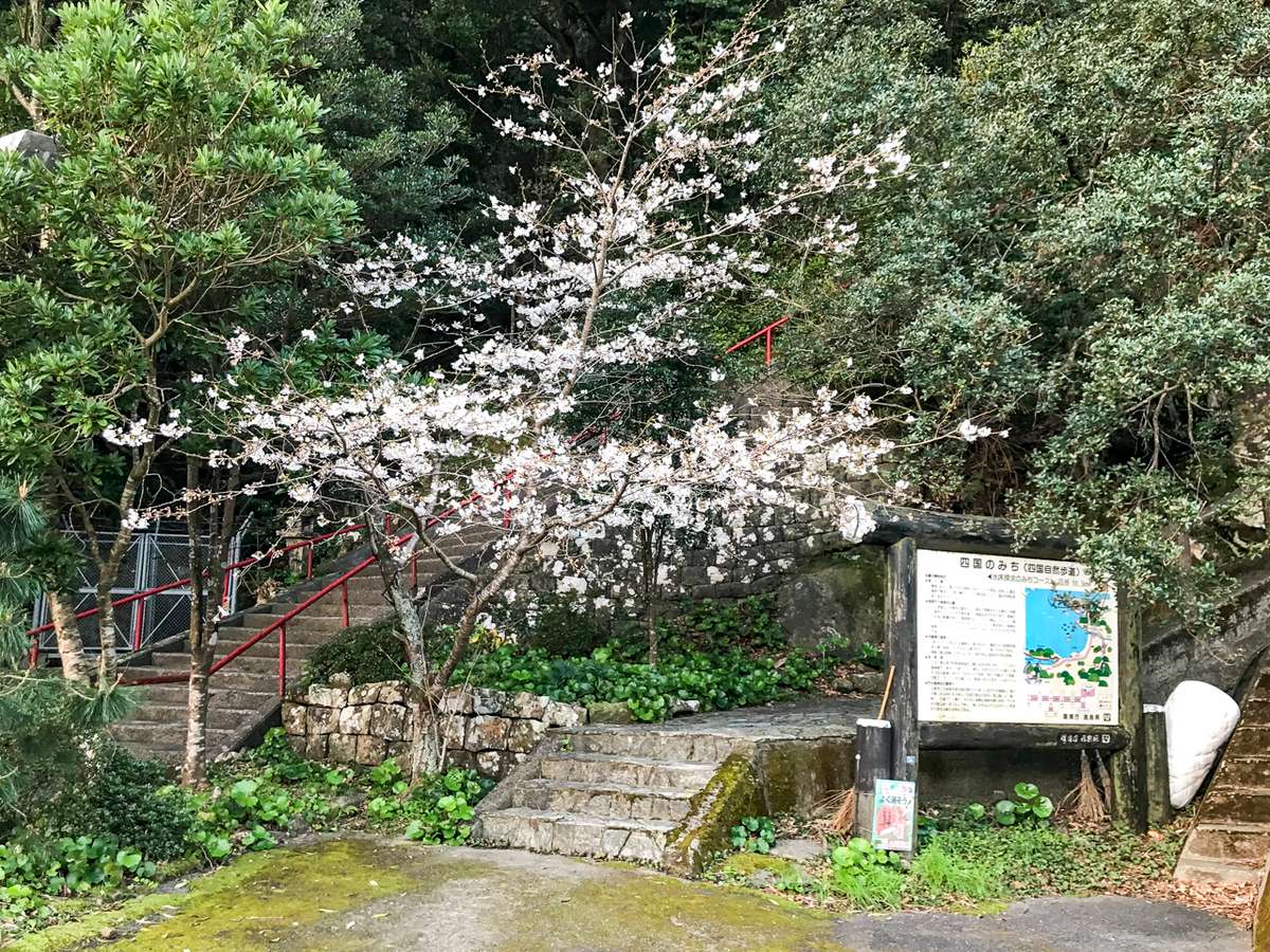 The Shikoku-no-Michi trail during Spring
