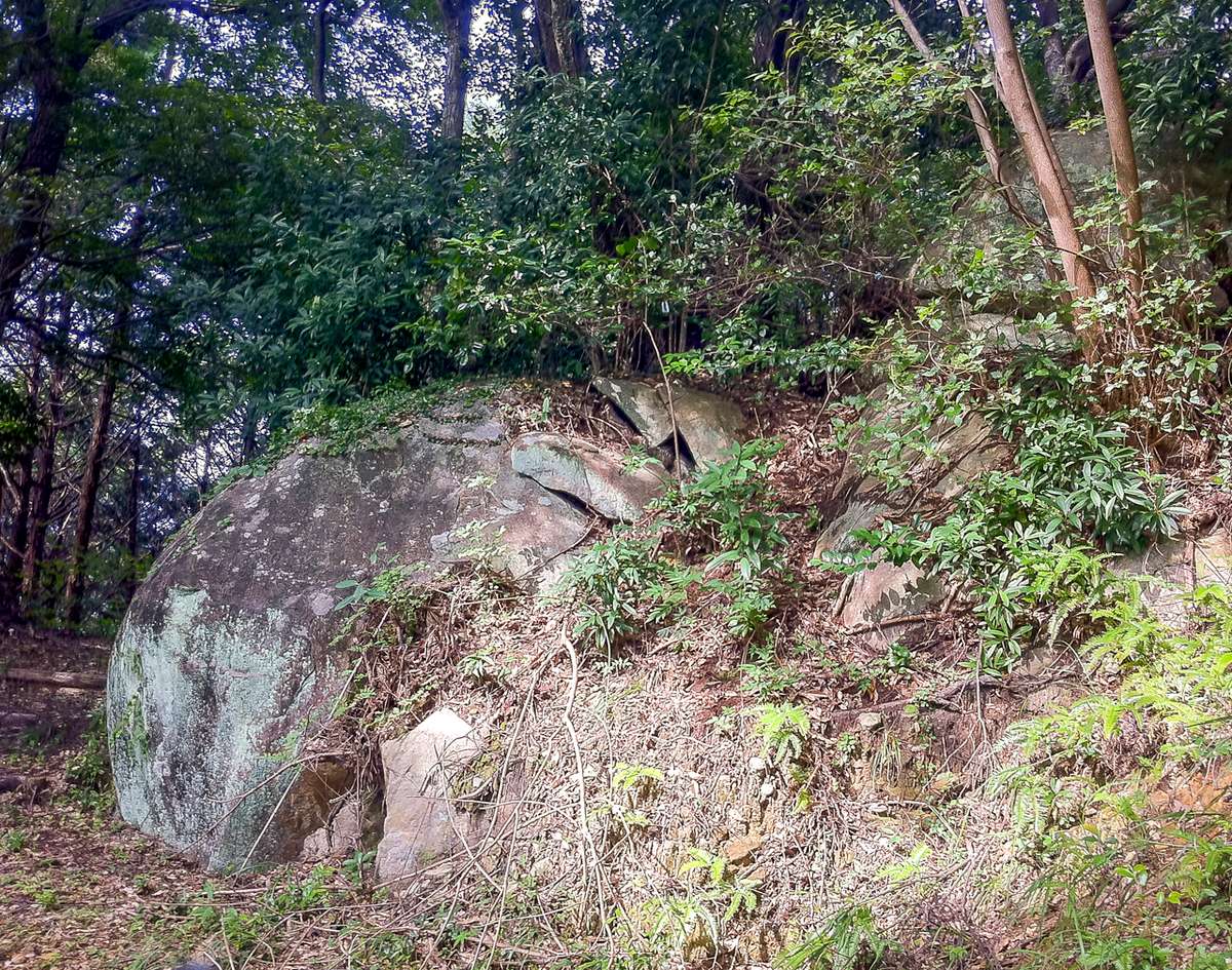 竹ヶ島の亀石