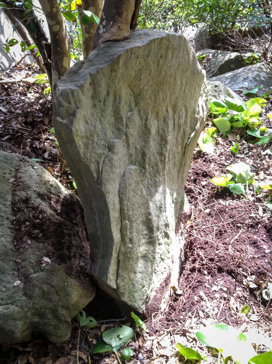 Takegashima stone slab integrated with trees