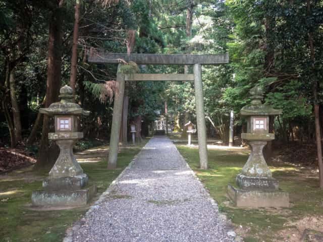 緑が美しい阿射加神社の参道 (阿佐加乃藤方樋宮比定地)