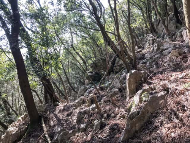 若杉山遺跡