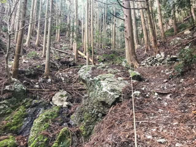 若杉山遺跡の斜面