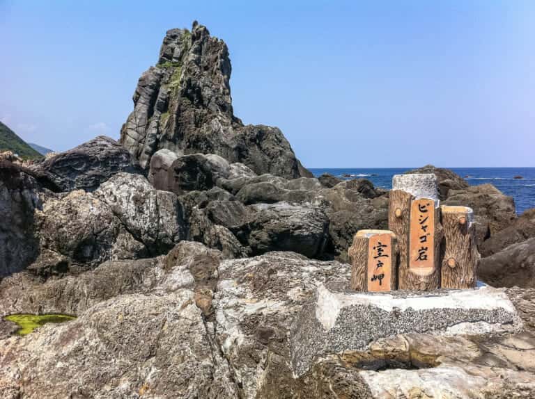 ビシャゴ岩 室戸岬