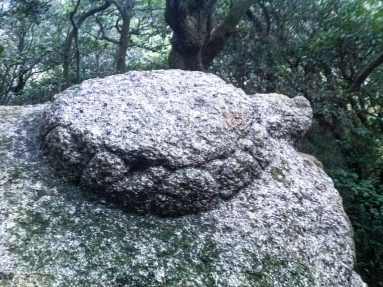 大龍寺奥の院　弘法大師が彫られた亀