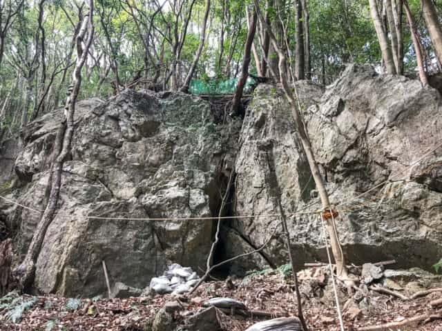 若杉山遺跡 発掘調査現場
