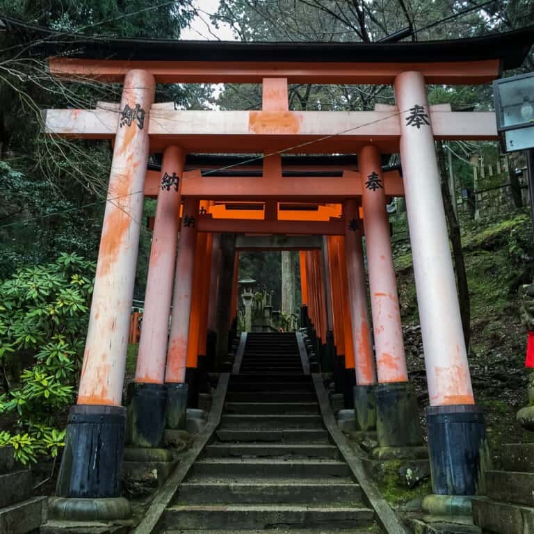伏見稲荷大社 千本鳥居