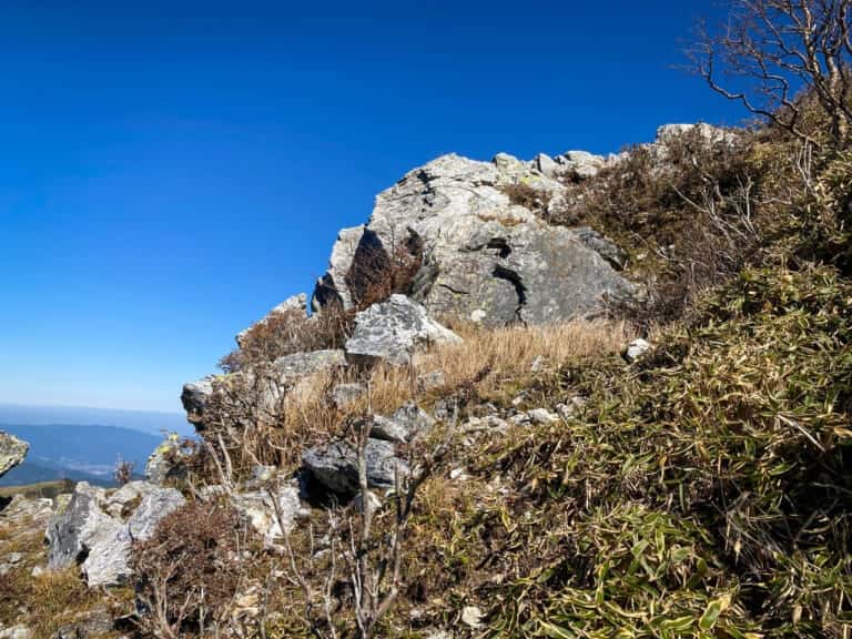 剣山の亀石