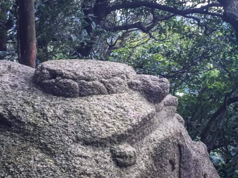 大龍寺奥の院　弘法大師の亀