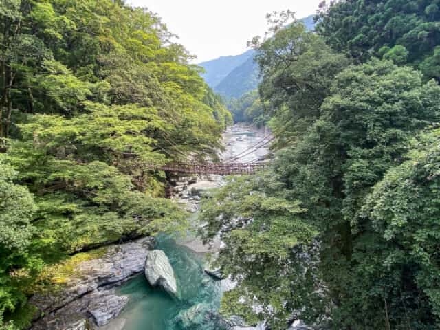 祖谷のかずら橋