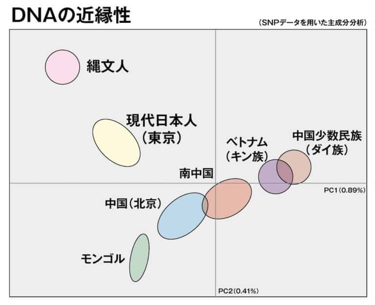 DNAの近縁性（NHK）