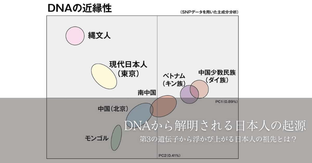 DNAから解明される日本人の起源 – 日本とユダヤのハーモニー&古代史の研究