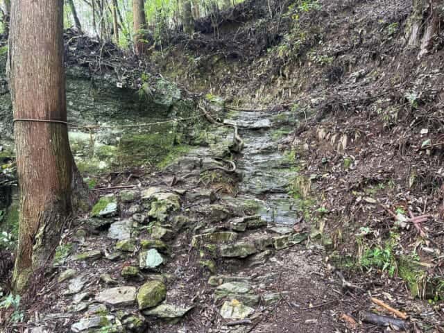急斜面が続く藤井寺から焼山寺への遍路みち