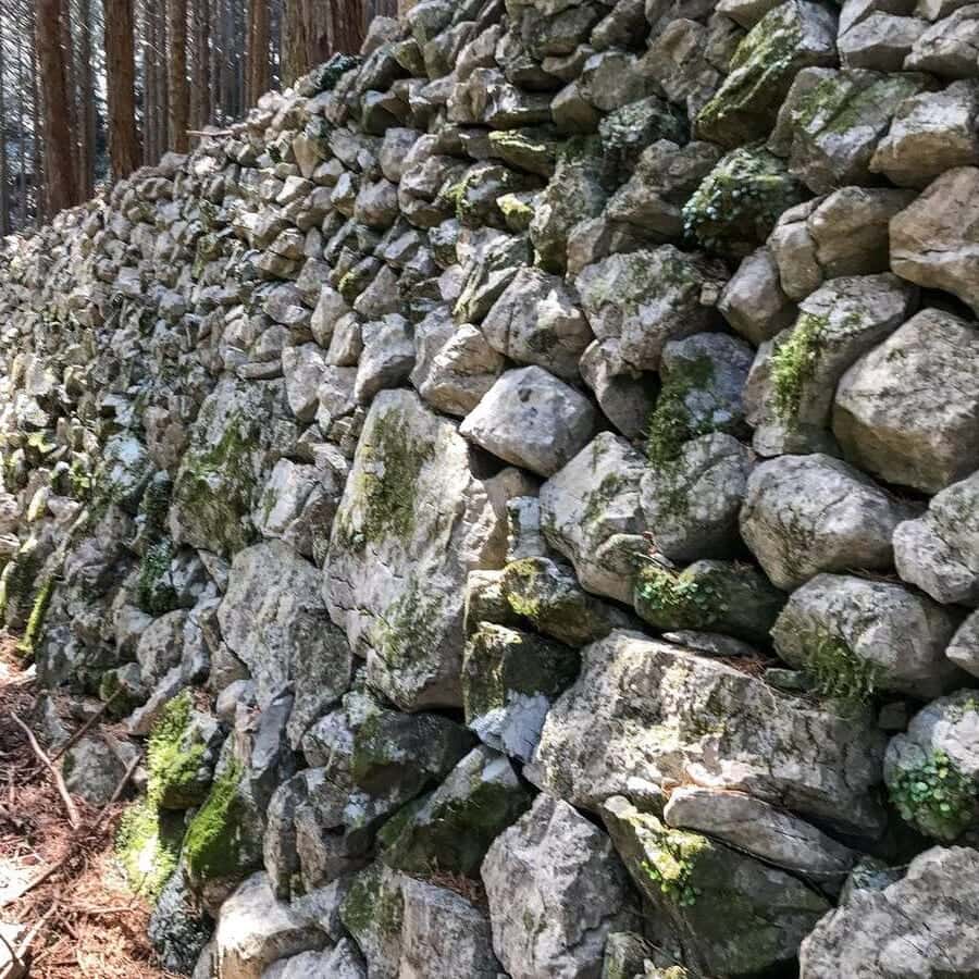 若杉山遺跡