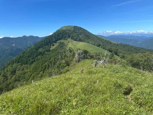 頂上がササ原で覆われている塔ノ丸