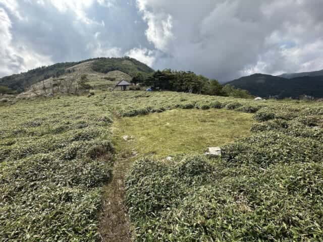 白髪山の中腹、白髪避難小屋周辺のササ原