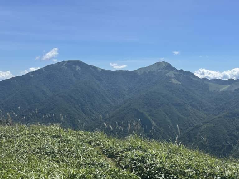 塔丸頂上から剣山頂上のササ原を望む