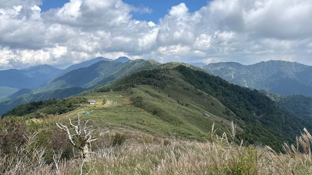 山焼きの跡に見える平和丸そばのササ原