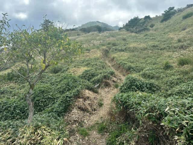 矢筈山・石堂山