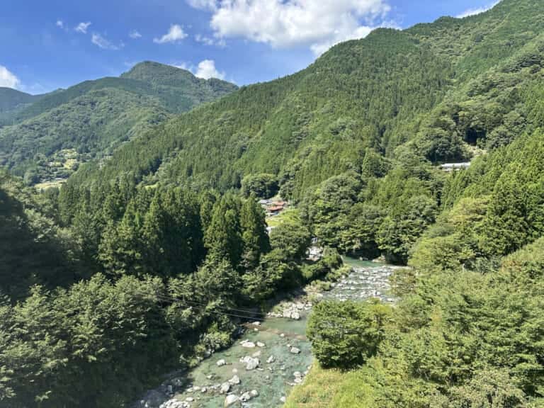 徳島の山岳地帯を流れる祖谷川