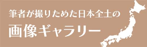 画像ギャラリー