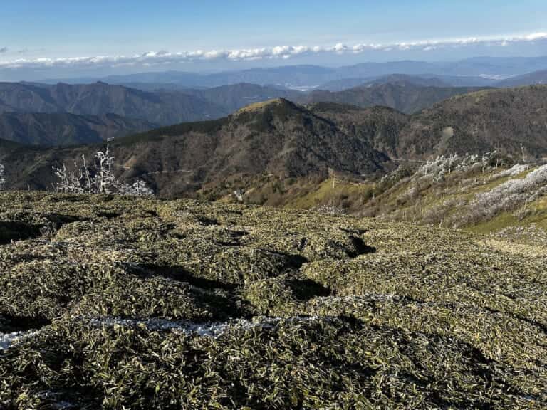 剣山頂上のササ原から見渡す北方の大自然
