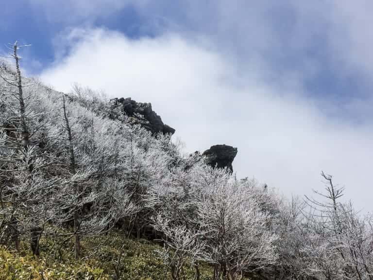 剣山頂上近くの鶴石と亀石