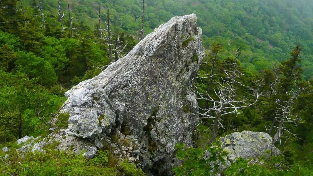 剣山の鶴石