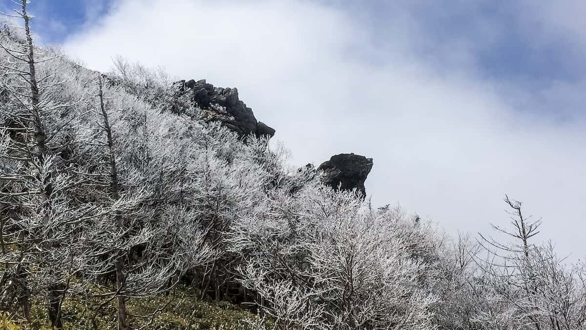 剣山頂上近くの鶴石と亀石